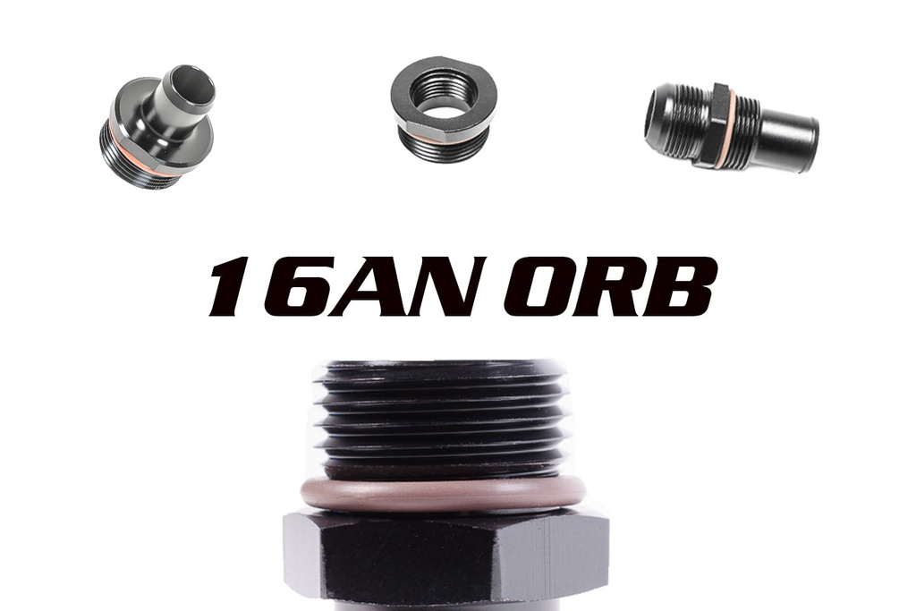 [14-1194] 16AN ORB Fittings
